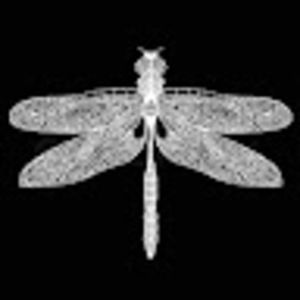 Meet your Posher, Fermin